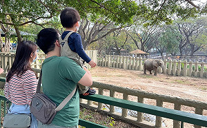 兒童節連假fun心遊高雄 市府推觀光套票神攻略