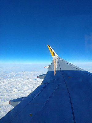 出國放生旅伴！林氏璧列7實用要點網認同：說得好