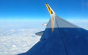 出國放生旅伴！林氏璧列7實用要點網認同：說得好