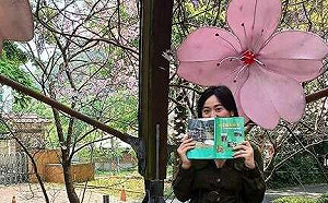 賞花踏青小旅行！陽明山「湖山光影節」擬真花燈牆延續櫻花季美景