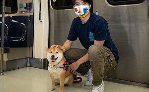 帶毛孩搭捷運逛市集！4/9北捷「寵物專車」一日限定