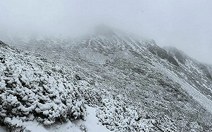 雪山主峰降下4月雪！網曬雪景照：真的不是愚人節玩笑