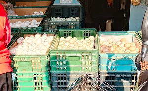 現在還缺蛋？9籃雞蛋驚現傳統市場