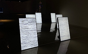 新北市藝文中心「黑洞的自由度」展出至4/9  七位藝術家探討生命「失序」