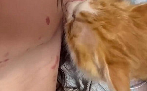 男收浪貓後脖子全瘀青！感動原因曝