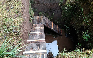 給動物安全回家的路！林務局設252處友善設施  避免林道成死亡陷阱