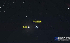 天文迷注意！金星合昴宿星團4/11登場 天文館曝觀賞時機