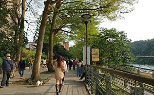 晴朗如夏！高溫達34度 吳德榮：早晚仍涼