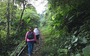 找消防隊外送？登山客攀「南三段」缺糧竟請求運補