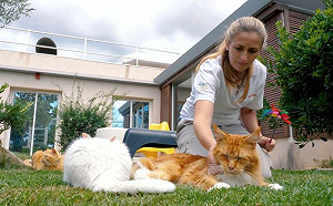 毛孩也上班「當評審」！超狂待遇曝