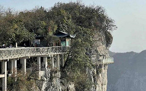 中國「約死群組」震碎三觀! 相約集體輕生 勸解還被踢群