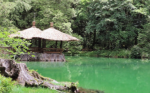 阿里山踏青注意！姊妹潭4/19主動線施工封閉7個月