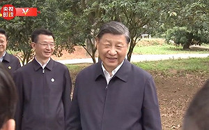 不吃包子了？習近平讚「茂名荔枝」能促進共同富裕