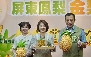 屏縣推七大行銷方案   全產期助攻2.5萬噸金鑽鳳梨