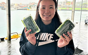 來自新北東北角海岸的鵝仔菜美味又營養 快來嚐鮮吧！ 