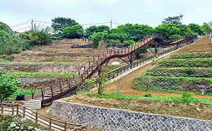 台北農村輕旅行！到「平等農業社區」體驗傳統鄉村特色