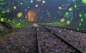 螢火蟲季來囉！ 嘉縣推15處賞螢秘境微旅行