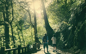 第19個！拉拉山國家森林遊樂區明開園 半價大優惠