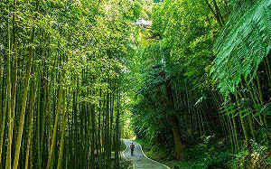 親子淺山小旅行 嘉縣推薦3條「幼幼級」步道