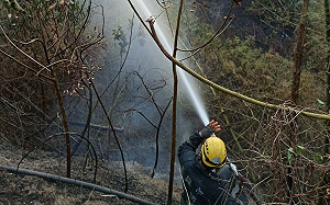 消防、軍方合力撲滅內門山火 康裕成：少點非難多予鼓勵肯定