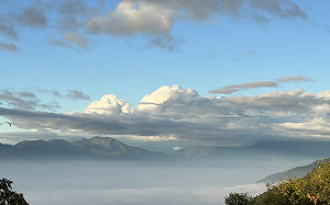 漫步藤枝國家森林公園   4/21起免預約入園