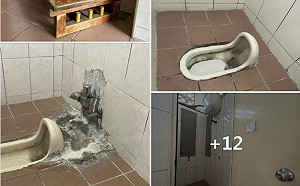 蔡培慧爆南投國小廁所「凍齡」20年 還辦整潔比賽