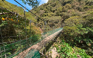 嘉義踏青先緩緩！獨立山步道1號吊橋封閉整修至明年5月