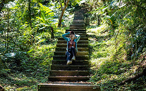新北景區螢光夢幻仙境 綠色路線生態永續 