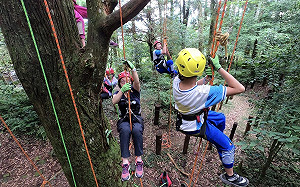深入森林體驗大自然！東眼山「五天四夜暑假營隊」開放報名