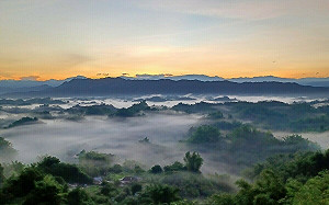 勞動連假倒數！遊台南「台灣觀巴」免轉乘超便利 
