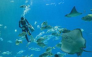 勞動節連假出遊趣   屏東海生館推放鬆遊館優惠