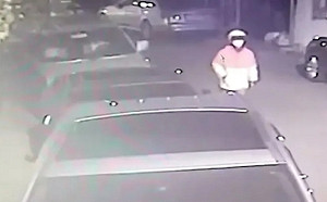 內湖槍擊案逮11共犯 槍手已偷渡逃往東南亞