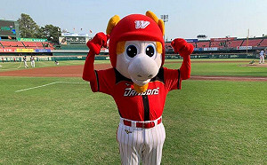 吉祥物遭球迷「爆頭」！龍隊發出聲明