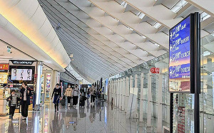  春節連假去哪玩？消保處：跟團需慎選旅行社