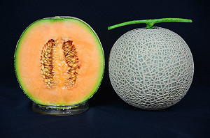 洋香瓜改良爭排名！新品種「橘后」上位內外兼美