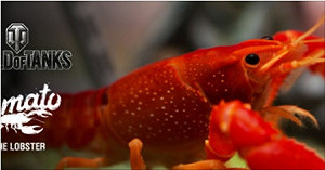 章魚哥有接班人? 戰遊網派出「龍蝦」預測《戰車世界》 世界大賽冠軍