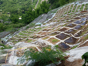 尊重民意  台南市府暫緩核發歐欣設置許可