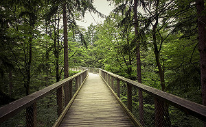 快出門大口深呼吸吧！鋒面降雨帶走中南部髒空氣