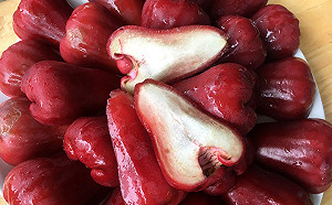 減法耕作產量更高！蓮霧達人創下800萬超高營業額