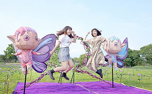 2023新北河濱蝶戀季5/6登場 展開音樂會迎接溫馨五月天 