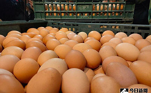 雞蛋1天能吃幾顆？心臟科名醫「4字」解答