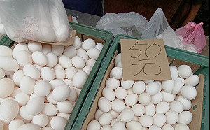 雞蛋終於不缺了？菜市場真實蛋價直擊