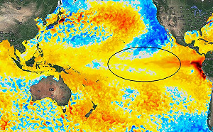 難靠颱風救水情！鄭明典揭原因網嘆：我們要變沙漠了嗎