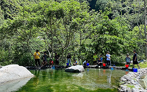 森林探險去！八仙山「動物生態探索營」即日起開放報名