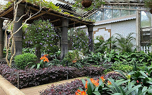 抓緊春天尾巴賞浪漫花海！陽明山「球根花卉展」5/10登場