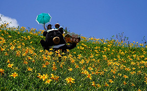 花壇虎山巖金針花季開鑼 喔熊邀大家賞花過母親節