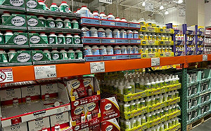 A肝莓果被重罰750萬元！好市多公告回收3種冷凍莓