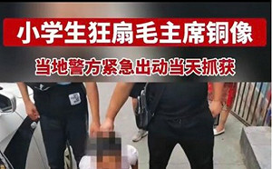 (影)中國河南小學生怒搧毛澤東像被逮 綠委：促統媚共的傢伙 要把孩子推去這種國家？