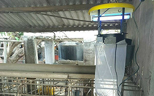 日本腦炎流行季開始 高雄首本土病例落在路竹