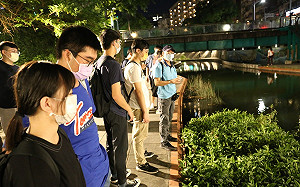 新北新莊中港大排星光導覽 5月至10月夏季限定 